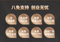 抢占蓝海：唐中煌陶瓷橱柜如何撬动健康家居的千亿财富风口？