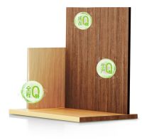 技术筑底，价值立新！兔宝宝行业首创零醛水漆板震撼上市