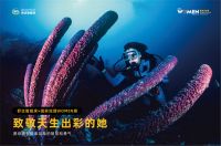 联合国家地理WOMEN展，舒达床垫致敬天生出彩的“她”