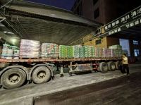 政策驱动行业升级，卓玛儿童级健康腻子凭远超国标品质守护健康家居！