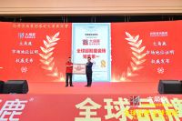 商务部领导专家莅临大角鹿指导，共促提升中国瓷砖全球竞争力