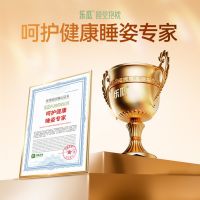 源自欧洲，拥抱世界：FUNMELON的全球“相拥”之旅