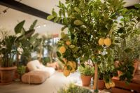 春日绿洲 · 意式序曲：在都市一隅，与Baxter共赴一场春日叙事