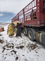 运满满大数据：奶茶配料发货量同比涨20.1%，骑马过春天成户外新时尚