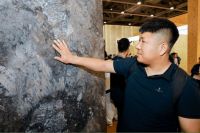 从一块板到一种生活：新港用仿生美学讲述生命的五种表情 ——3月广州定制家居展必打卡品牌之“新港”