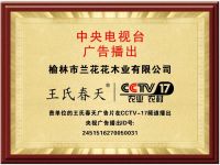 强强联合！王氏春天与品牌之家携手，多维布局铸就本土家装品牌新标杆