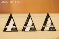 百余位设计师齐聚，见证设计·价值交响 ——首届罗浮宫A-Plus人居设计大奖2026颁奖盛典圆满举行