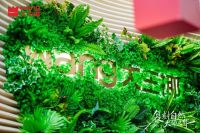 从卖板材到卖生活方式：大王椰广州展揭示家居业下一个十年