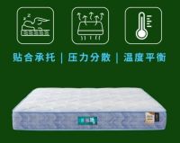 2026年实测10款记忆棉床垫排行榜！