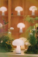 GUBI X 川至悦来 | 一场春日的失重花园