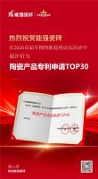 喜报｜能强荣膺「陶瓷产品专利申请 TOP30」，硬核研发力获权威认证！