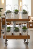 源氏木语成都超级大店读书日游园会启幕，以“阅读+家居”解锁春日生活新方式