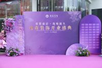 本土十二年口碑装企，逸森装饰旗舰店开业盛典圆满成功