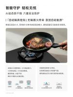 火候自有分寸 美味轻松成就，林内星厨3.0 AI轻松灶全新登场