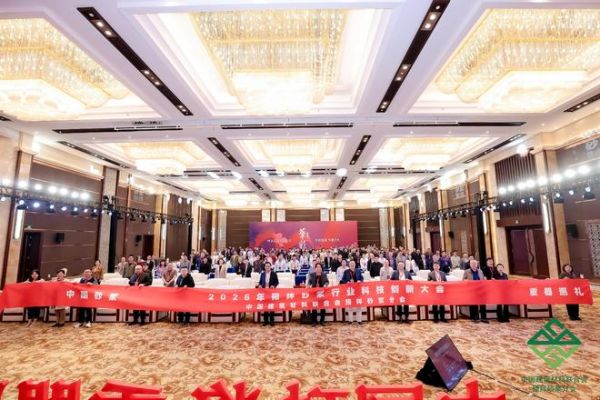 美巢30年｜以三十年专注承办行业盛会 共探预拌砂浆高质量发展新方向