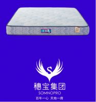 2026年最新发布：十大护脊床垫品牌推荐实测结果！