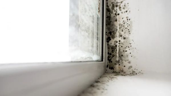 亿固防水好伴侣 | 以自愈型黑科技，构建终端无渗漏价值共同体
