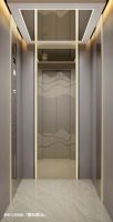 深耕精细化品类 美嘉智选发布家用电梯新品
