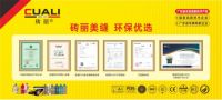 为什么砖丽美缝能成为全球实力品牌？