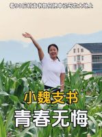 美的小家电“回家吃饭”IP引爆情感流量：妈妈千里送饭视频播放破1700万