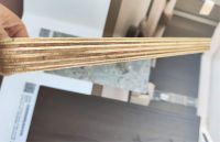 梅雨季柜门翻车？杉木尼海洋板防潮王者来救场！