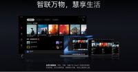 一台高端智慧大屏能做什么？MateTV在HDC现场给出新答案