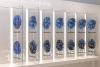 德国美诺Miele 推出全新多门冰箱系列 存鲜「巅峰」时刻 profile-avatar