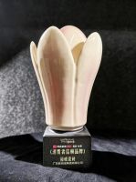 榜样力量 | 裕成瓷砖以匠心质造入选“消费者信赖品牌”