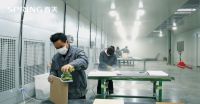 春天集团怎么靠油漆木皮木作工艺打造门墙柜一体化产品差异化？