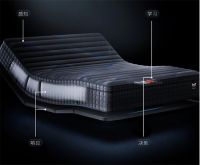 重构睡眠体验 舒达AI DREAM推动行业迈入智能睡眠 3.0 时代