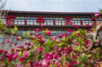 一店一匠心，一城一承诺 | 巧夺天工红木全国直营版图持续生长