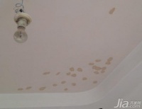 陪你去看地中海 糖小果的竣工装修日记