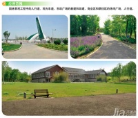 透水地坪分类 透水地坪价格