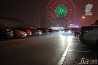 氙气灯什么牌子好