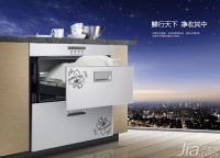 立式消毒柜哪个牌子好    立式消毒柜尺寸