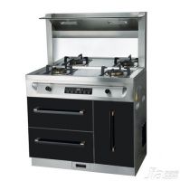 2015年集成灶十大品牌排名