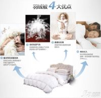 2015羽绒被十大品牌排行 最新羽绒被价格