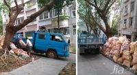 老房拆改焕青春 姚先生的装修日记