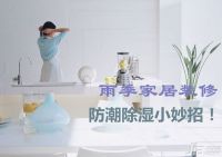 空调除湿效果怎么样 家居防潮妙招PK