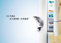 解析冰箱有水怎么回事    解决办法全攻略