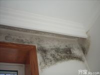 装修知识之墙面发霉怎么处理