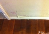 装修知识之墙面发霉怎么处理