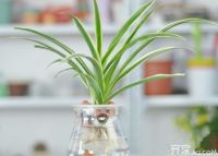 装修除甲醛  助你早日入住新房