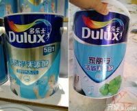 房屋化妆术 卢生的油漆工程日记