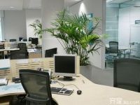 史上最神秘的办公室风水摆设注意事项