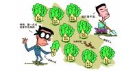 工头也来写日记 与你分享装修中的秘密