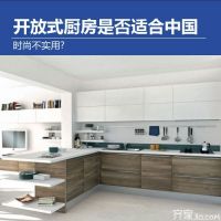 国内开放式厨房 展现开放式厨房的美好前景