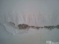 墙壁掉皮什么原因 让装修达人来帮你解决