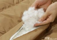 聚酯纤维是涤纶吗   涤纶和聚酯区别大认领