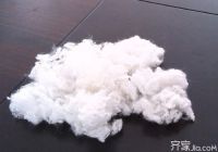 什么是聚酯纤维面料   选面料要慎重